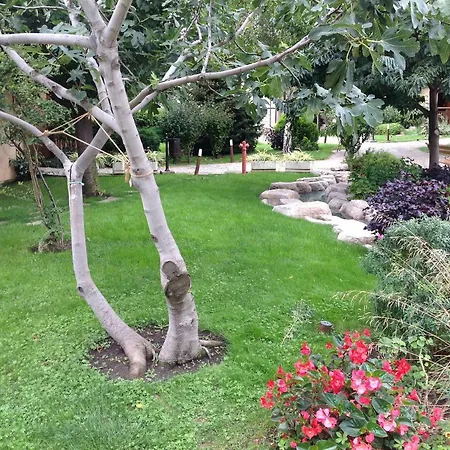 Sea View Studio In 4-star Garden Of Eden, Apartamento